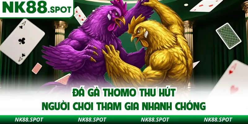 Đá gà Thomo thu hút người chơi tham gia nhanh chóng